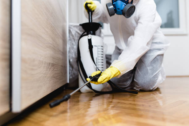 Best Best Pest Control Companies  in Roundup, MT