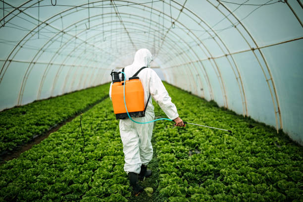 Pest Prevention Services in Roundup, MT