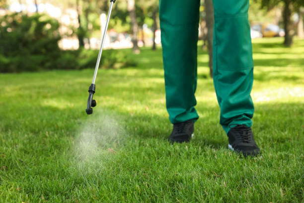 Best Pest Control Near Me  in Roundup, MT