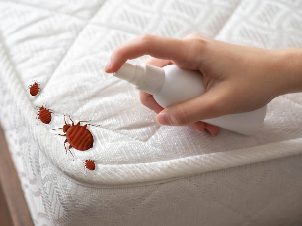 Best Pest Control Near Me  in Roundup, MT