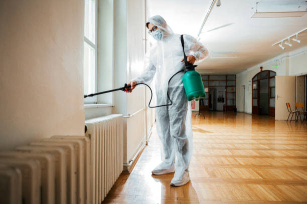 Best Mosquito Control Services  in Roundup, MT
