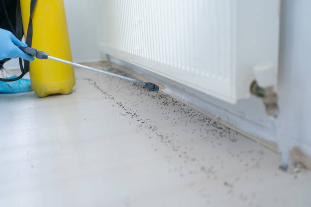 Best Best Pest Control Companies  in Roundup, MT