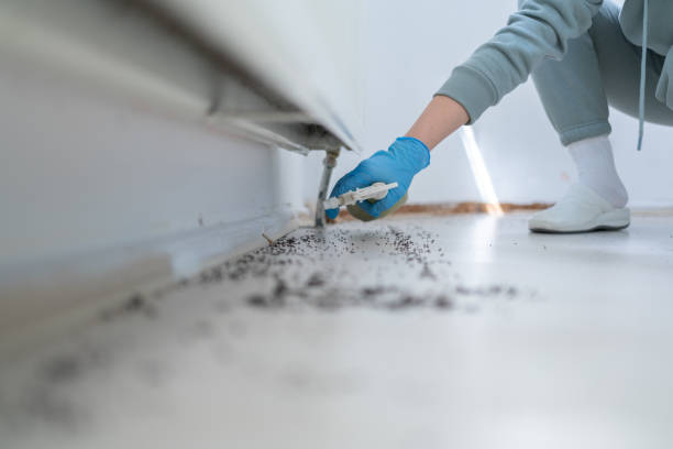 Best Best Pest Control Companies  in Roundup, MT