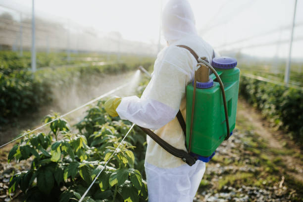 Best Pest Inspection Near Me  in Roundup, MT